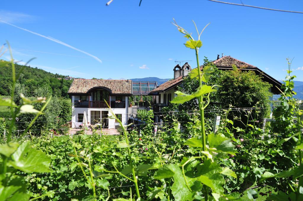 Weingut Weidlhof - Suite & Breakfast - Vacation For Wine Lovers Caldaro Εξωτερικό φωτογραφία